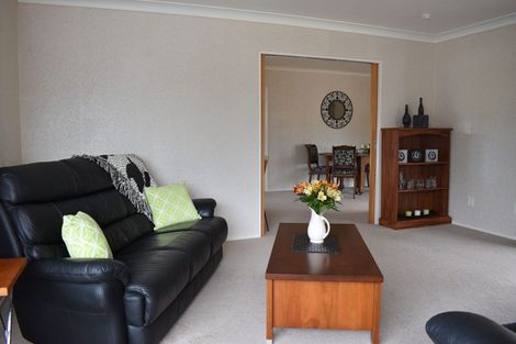 Photo of property in 91 Durham Street, Ashhurst, 4810