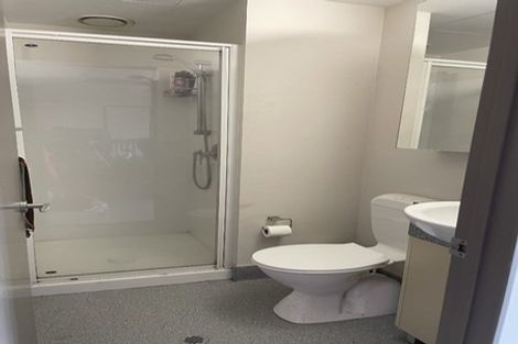 Photo of property in Dual Apartments, 408/142 Vivian Street, Te Aro, Wellington, 6011