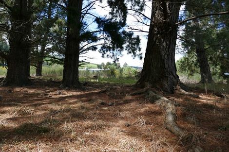 Photo of property in 1779 Kakanui Valley Road, Five Forks, Oamaru, 9491