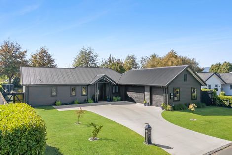 Photo of property in 3 Cliftondell Close, Matamata, 3400