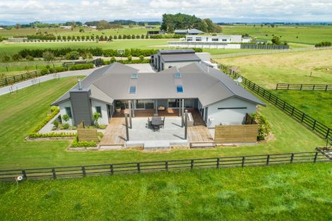 Photo of property in 643 Mount Stewart Halcombe Road, Halcombe, Feilding, 4779