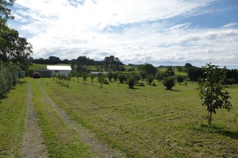 Photo of property in 126 Willoughby Road, Tahawai, Katikati, 3170