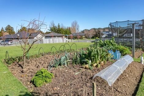 Photo of property in 89 Greenhills Drive, Coromandel, 3506