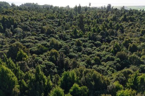 Photo of property in 37 South Terrace Road, Karamea, 7893