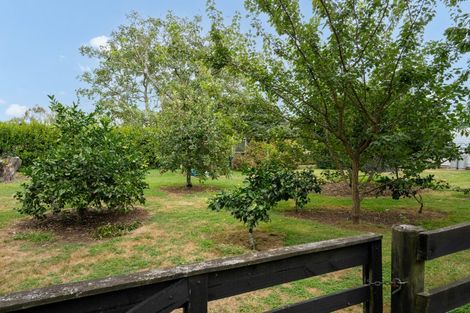 Photo of property in 1070 Kaipaki Road, Cambridge, 3495