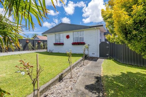 Photo of property in 3 Cardiff Street, Levin, 5510