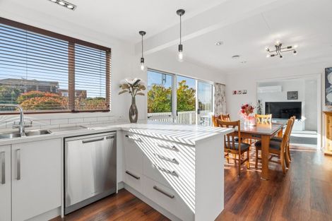 Photo of property in 36 Kilgour Street, Roslyn, Dunedin, 9010