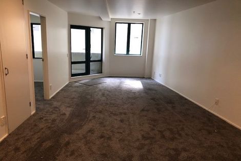 Photo of property in Courtenay Apartments, 211/120 Courtenay Place, Te Aro, Wellington, 6011