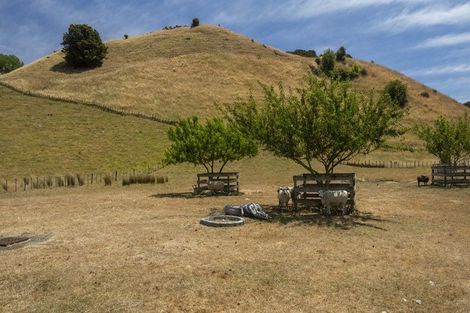 Photo of property in 973 Mstn-castlepoint Road, Tauweru, Masterton, 5889