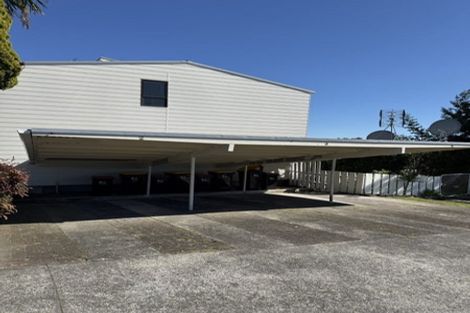 Photo of property in 36 Griffiths Street, Putaruru, 3411