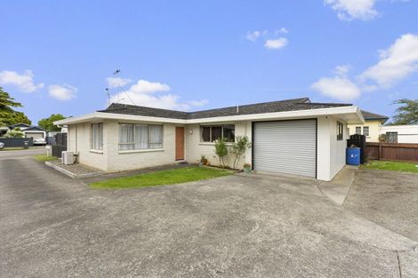 Photo of property in 38a Wood Street, Takaro, Palmerston North, 4410