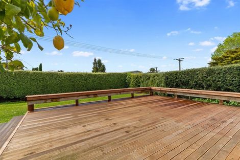 Photo of property in 55 Moorhouse Street, Morrinsville, 3300