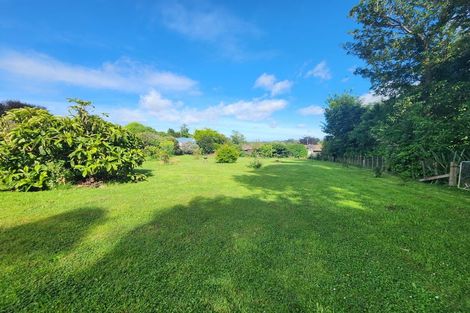 Photo of property in 28 Ihaka Hakuene Street, Manakau, Levin, 5573