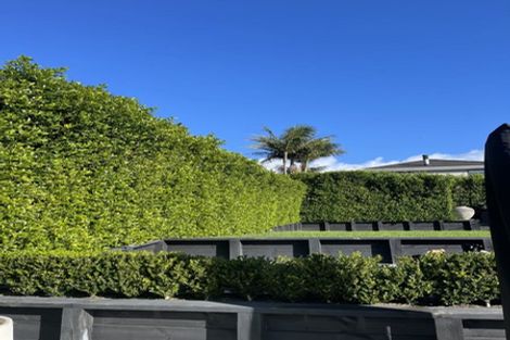 Photo of property in 12 Richmond Avenue, Northcote Point, Auckland, 0627