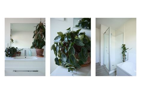 Photo of property in 19c Thames Road, Paeroa, 3600