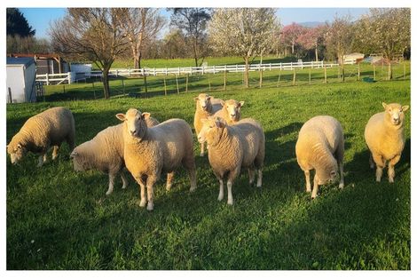 Photo of property in 45 Bryant Road, Brightwater, 7022