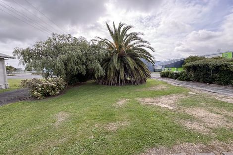 Photo of property in 30 Pascal Street, Palmerston North, 4410