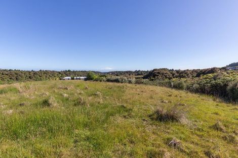 Photo of property in 3 Middle Paddock, Blue Spur, Hokitika, 7882
