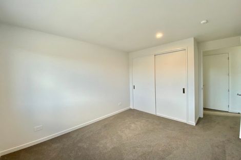 Photo of property in 55 Fairmaid Street, Lincoln, 7608