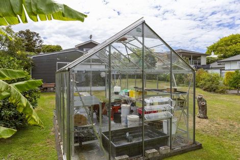 Photo of property in 149 Tamamutu Street, Taupo, 3330