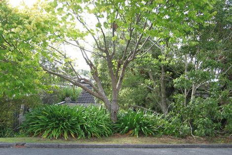 Photo of property in 48 Parr Terrace, Castor Bay, Auckland, 0620