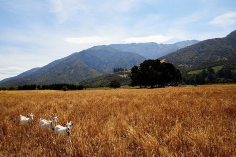 Photo of property in 235b Bay Paddock Road, Hapuku, Kaikoura, 7371