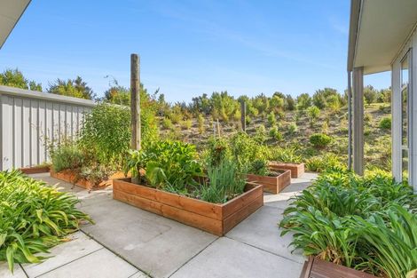 Photo of property in 140 Horton Road, Tasman, Upper Moutere, 7173