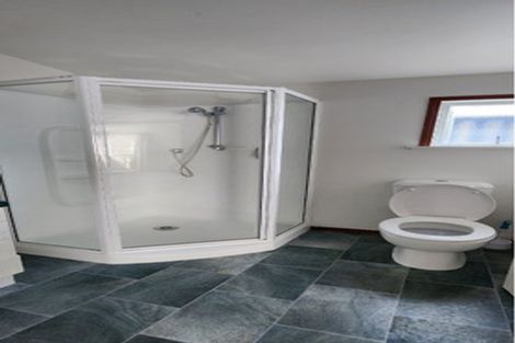 Photo of property in 113 Sunnyside Road, Sunnyvale, Auckland, 0612