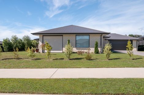 Photo of property in 56 Tynan Street, Te Puke, 3119