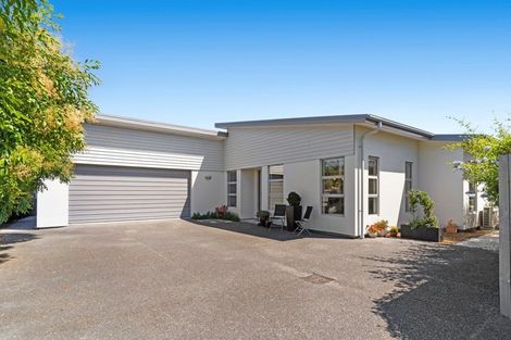 Photo of property in 6b Allison Avenue, Mount Maunganui, 3116