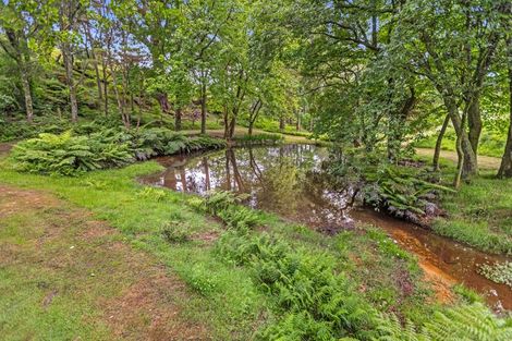 Photo of property in 173 Thompsons Track, Aongatete, Katikati, 3178