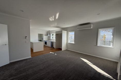 Photo of property in 65 Clarkin Road, Fairfield, Hamilton, 3214