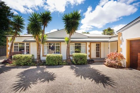 Photo of property in 41a Lincoln Terrace, Hokowhitu, Palmerston North, 4410