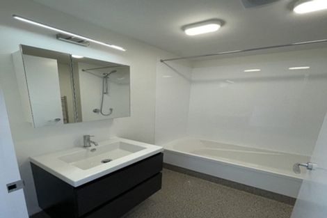 Photo of property in Aniva Terrace, 13 Arney Street, Newtown, Wellington, 6021