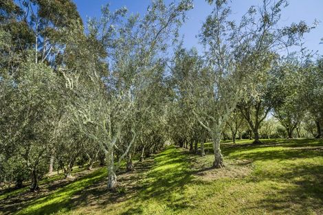 Photo of property in 102 Wright Road, Dairy Flat, 0794