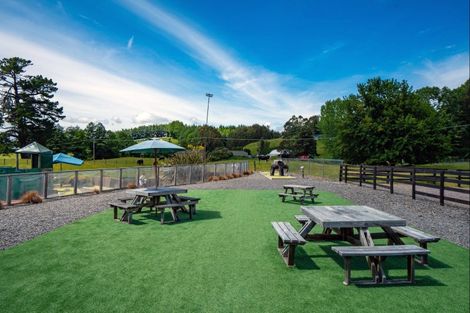 Photo of property in 8 Palmer Mill Road, Wairakei, Taupo, 3384