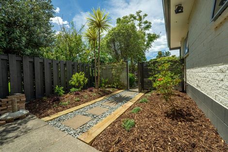 Photo of property in 19 Tainui Street, Matua, Tauranga, 3110