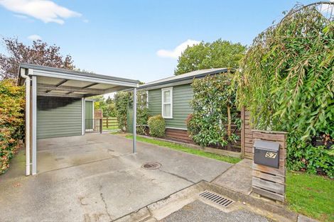 Photo of property in 57 Daniell Street, Solway, Masterton, 5810