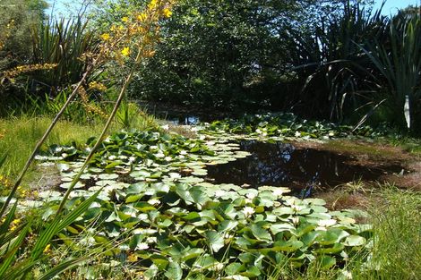 Photo of property in 4 Humphreys Gully, Arahura Valley, Hokitika, 7882