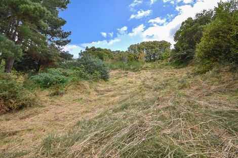 Photo of property in 188a Evans Street, Opoho, Dunedin, 9010