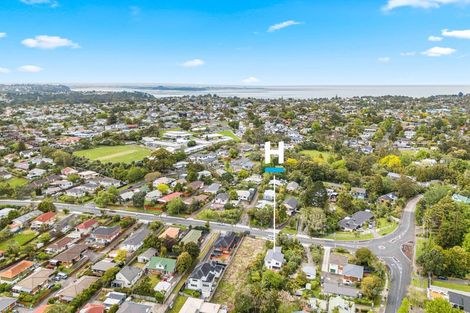 Photo of property in 155 Hutchinson Avenue, New Lynn, Auckland, 0600