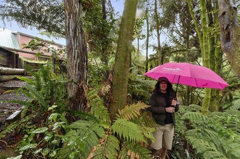 Photo of property in 7 Bellwood Place, Chartwell, Hamilton, 3210