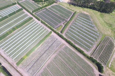 Photo of property in 3167 State Highway 1, Pukenui, Kaitaia, 0484