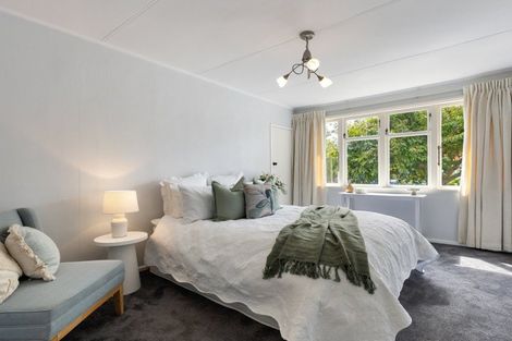 Photo of property in 117 Fairfield Road, Fairfield, Hamilton, 3214