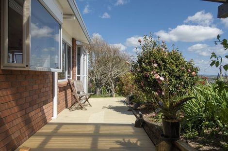Photo of property in 213 Bellevue Road, Bellevue, Tauranga, 3110