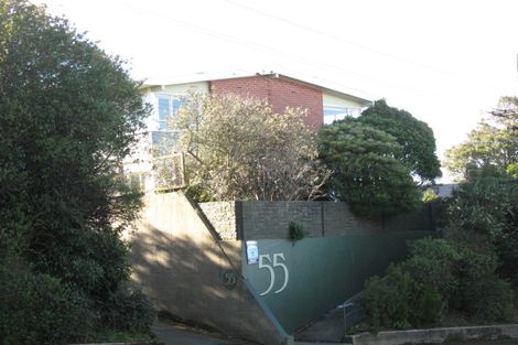 Photo of property in 55 Mailer Street, Mornington, Dunedin, 9011