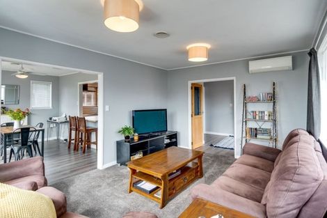 Photo of property in 221 Tudor Avenue, Mayfair, Hastings, 4122