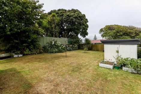 Photo of property in 259 Saint Aubyn Street, New Plymouth, 4310