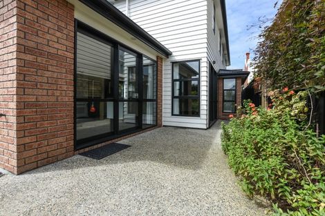 Photo of property in 43b Duncan Street, Dunedin Central, Dunedin, 9016