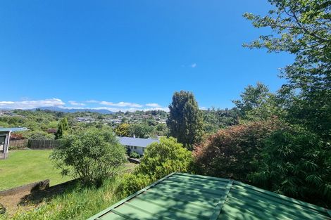 Photo of property in 102 Awanui Street, Merrilands, New Plymouth, 4312